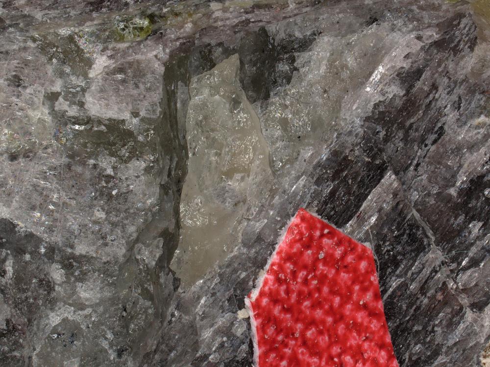 Holtedahlite